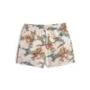 BatherAbove The Clouds Shorts - Green -Patagonia Clothing Shop Above the Clouds 20230406184802