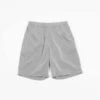 PaaBig Short - Silver -Patagonia Clothing Shop Big Short Silver 20230626022717