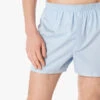 SunspelCotton Poplin Boxer Short - Light Blue -Patagonia Clothing Shop Classic Boxer Short 20190108021551