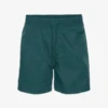 Colorful StandardClassic Swim Shorts - Ocean Green -Patagonia Clothing Shop Classic Swim Shorts in Ocean Green 20230915082225