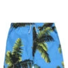 Blue Sky InnPalm Tree Print Swim Trunks - Sky Blue/Multicolor -Patagonia Clothing Shop Palm Tree Print Swim Trunks 20230525013745
