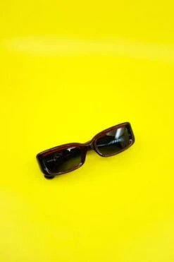 SECOND/LAYERRed Vega Sunglasses - Brown -Patagonia Clothing Shop Red Vega Sunglasses 20230521010427 1