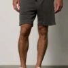 VelvetKane Shorts - Ash -Patagonia Clothing Shop Velvet Kane Shorts Ash 20230401154635