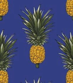 Poplin & Co.Shorts - Wild Pineapple Print -Patagonia Clothing Shop Wild Pineapple Print Shorts 20230414185728 2