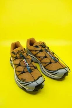 SALOMONXT 6 Shoes - Cathay Spice/Quar